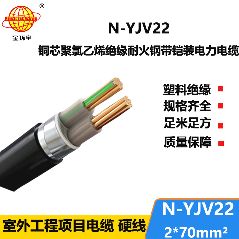 金環(huán)宇電線電纜 N-YJV22-2X70平方 耐火yjv22電纜 二芯 電力電纜價(jià)格